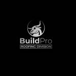 BuildPro Roofing Company Profile Picture