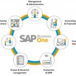 SAP Business One Profile Picture