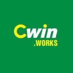 Cwin Works Profile Picture