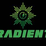 Radient Power  Battery  Profile Picture