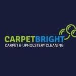 upholstry cleaning Profile Picture