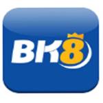 bk8press Profile Picture