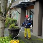 Rojo Moss Removal and Power Washing LLC Profile Picture