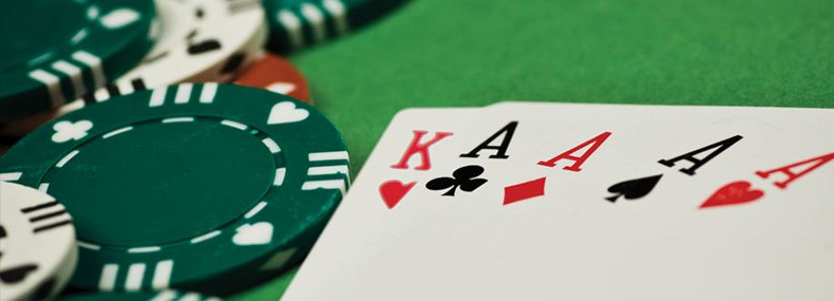 casinositenet com Cover Image