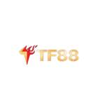 TF88 Casino Profile Picture