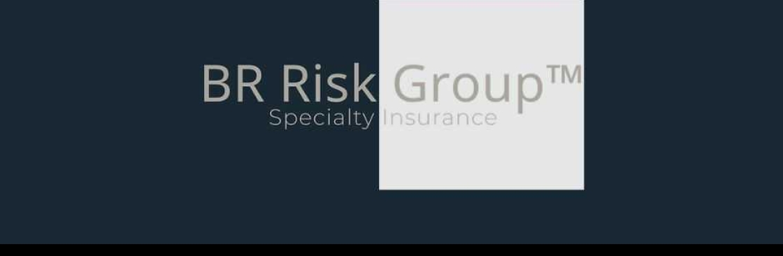 BR Risk Group Specialty Insurance Cover Image