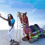 rajasthan tours Profile Picture
