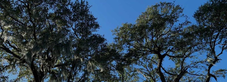 Connor Tree Service LLC Cover Image