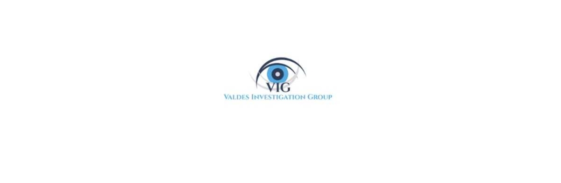 Valdes Investigation Group Cover Image