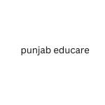 Punjabe ducare Profile Picture
