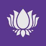 Purple Lotus Weed Delivery Profile Picture