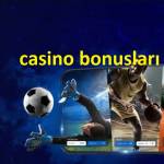 casino bonusları Profile Picture