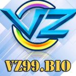 VZ99 bio Profile Picture