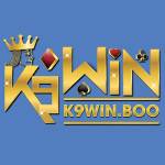 K9WIN Casino Profile Picture