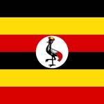 Evisa uganda Profile Picture