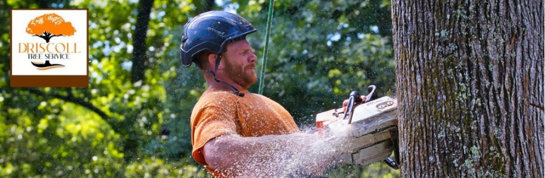 Driscoll Tree Service Cover Image