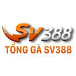 sv388tong1 Profile Picture