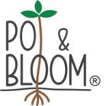 potand bloom Profile Picture