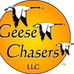 Geese Chasers Profile Picture