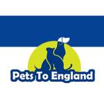 Pets To England Profile Picture