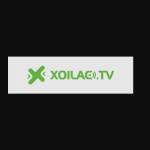 Xoilac tv Profile Picture