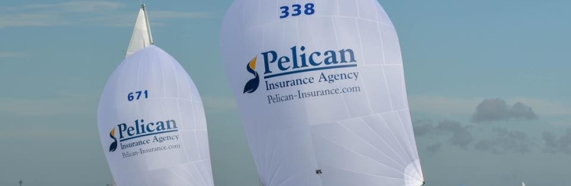 Pelican Insurance Cover Image