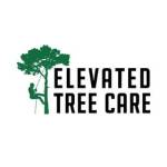 Elevated Tree Care Profile Picture