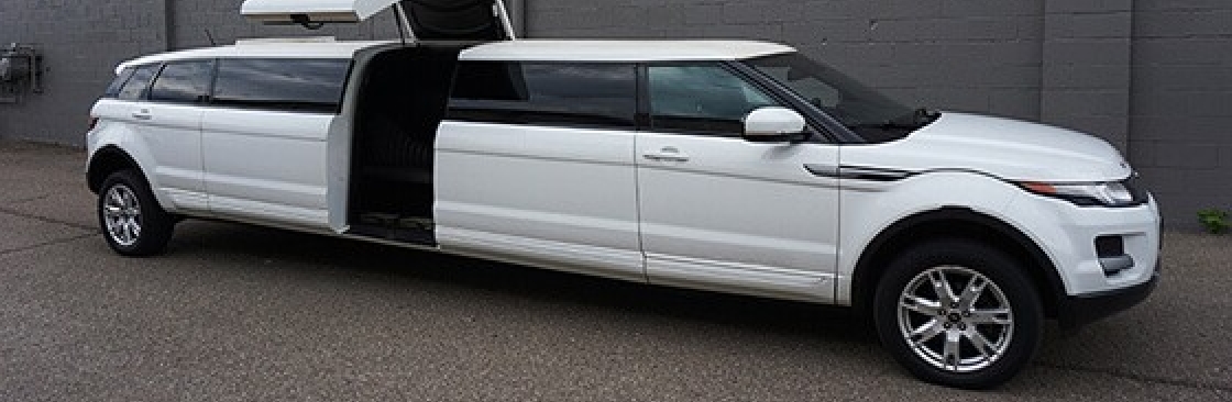 Limo Detroit Cover Image