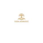 Veda Harvest Profile Picture