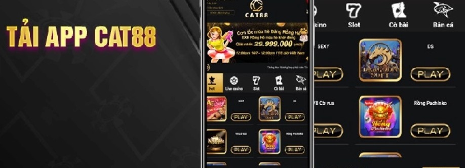 cat88dev Cover Image