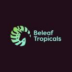 Beleaf Tropicals Profile Picture