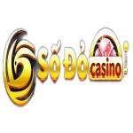 sodo66 Profile Picture