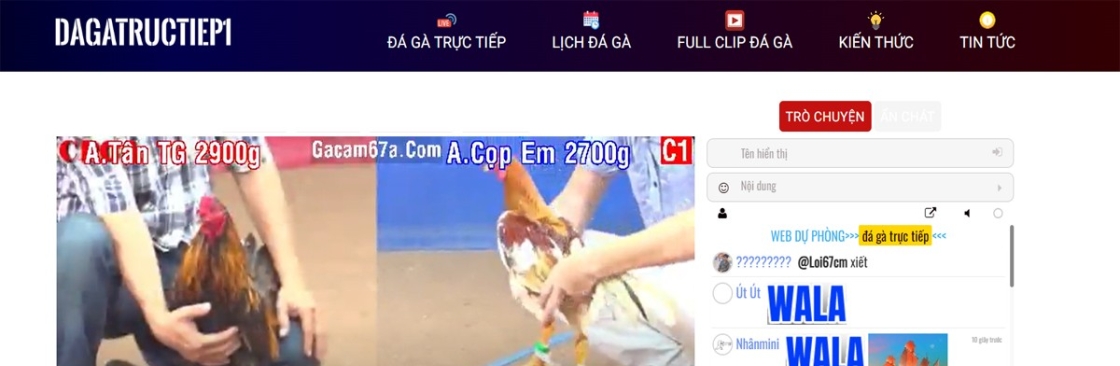 Đá Gà Trực Tiếp Xem đá gà trực tiếp Thomo hôm na Cover Image
