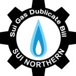 Sui Gas Duplicate Bill Profile Picture