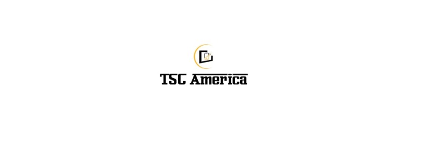 The software company America LLC Cover Image