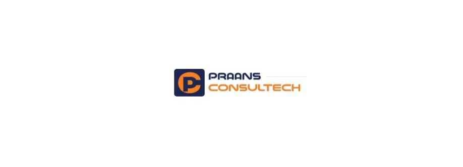 praansconsultech Cover Image