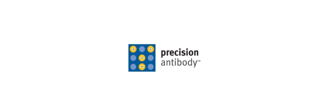 Precision Antibody Cover Image
