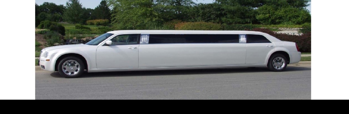 Deluxe Limo and Party Bus Cover Image