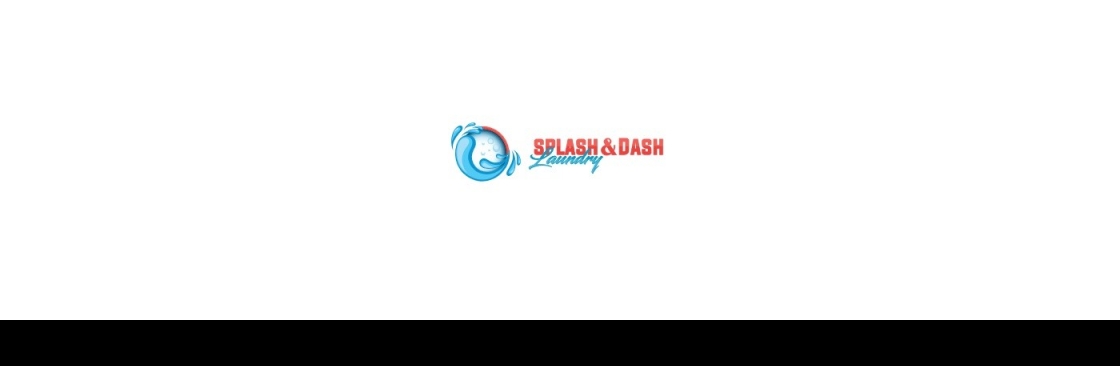 Splash N Dash Laundry Cover Image