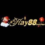 HAY 88 Profile Picture