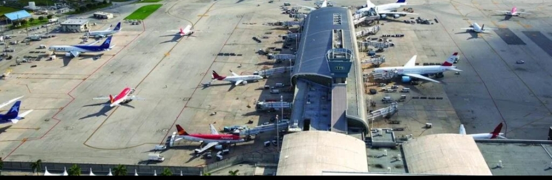 allairport terminal Cover Image