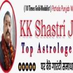 Love Marriage Solution Astro K K Shastri Profile Picture