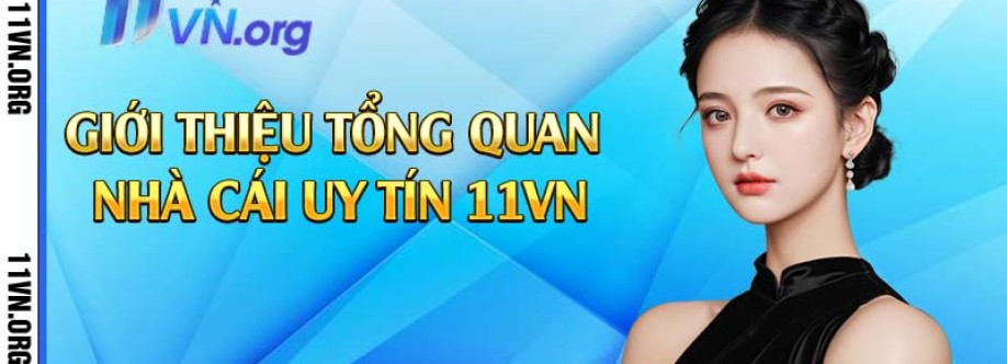 11vn org Cover Image