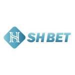 Shbet1 org Profile Picture