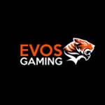 Evos gaming Profile Picture