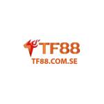 tf88comse Profile Picture