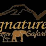 Signature Safari Profile Picture