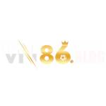 VN86 blog Profile Picture