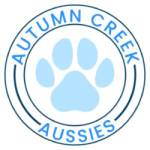 Autumn Creek Aussies Profile Picture