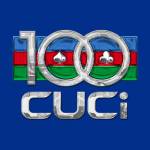 100cuci art Profile Picture